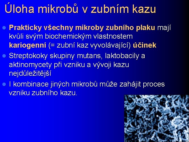 Úloha mikrobů v zubním kazu Prakticky všechny mikroby zubního plaku mají kvůli svým biochemickým