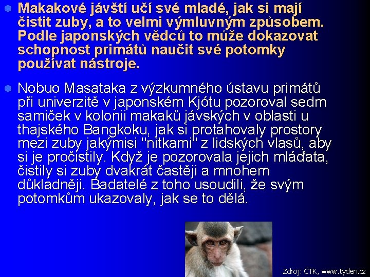 l Makakové jávští učí své mladé, jak si mají čistit zuby, a to velmi