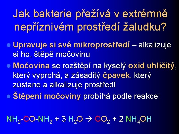 Jak bakterie přežívá v extrémně nepříznivém prostředí žaludku? l Upravuje si své mikroprostředí –