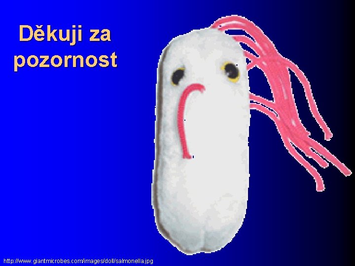 Děkuji za pozornost http: //www. giantmicrobes. com/images/doll/salmonella. jpg 