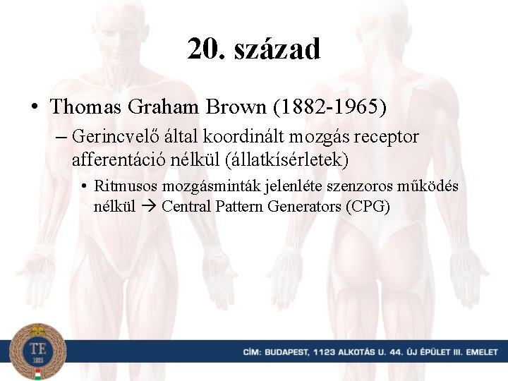 20. század • Thomas Graham Brown (1882 -1965) – Gerincvelő által koordinált mozgás receptor