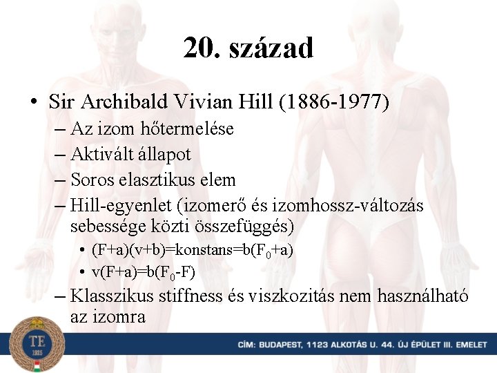 20. század • Sir Archibald Vivian Hill (1886 -1977) – Az izom hőtermelése –