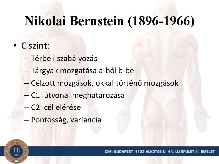 Nikolai Bernstein (1896 -1966) • C szint: – Térbeli szabályozás – Tárgyak mozgatása a-ból