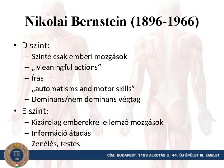 Nikolai Bernstein (1896 -1966) • D szint: – Szinte csak emberi mozgások – „Meaningful