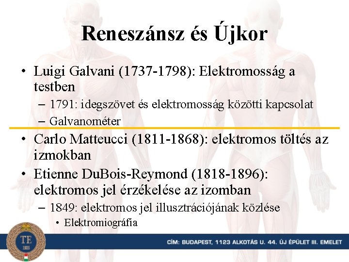 Reneszánsz és Újkor • Luigi Galvani (1737 -1798): Elektromosság a testben – 1791: idegszövet