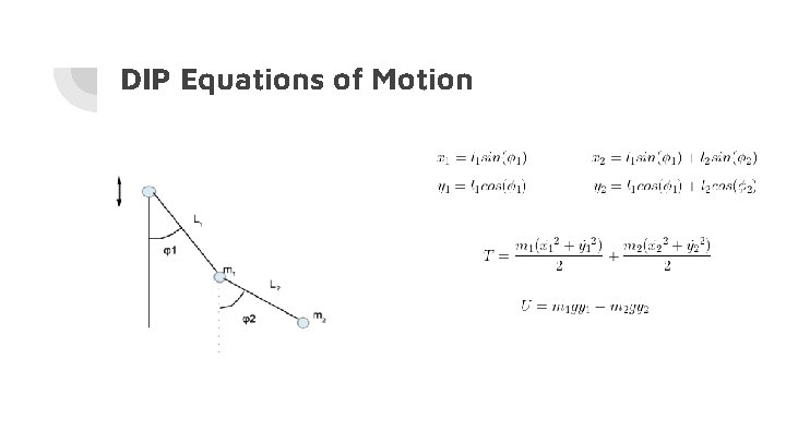 DIP Equations of Motion 