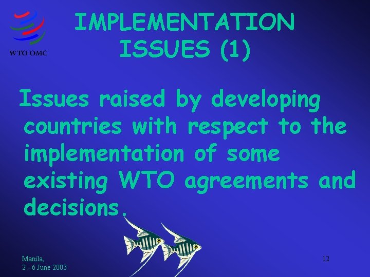 IMPLEMENTATION ISSUES (1) Issues raised by developing countries with respect to the implementation of