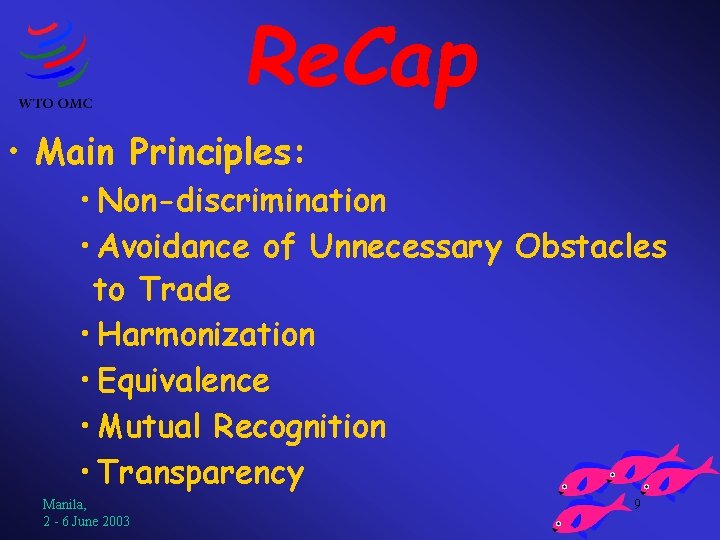 Re. Cap • Main Principles: • Non-discrimination • Avoidance of Unnecessary Obstacles to Trade