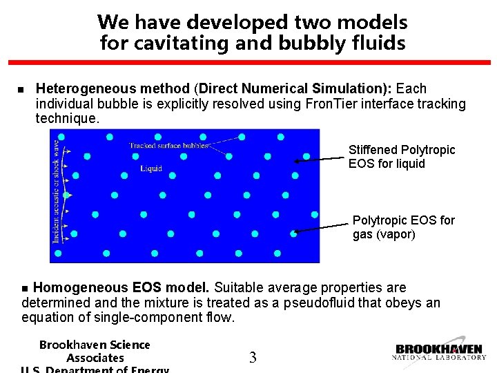 We have developed two models for cavitating and bubbly fluids n Heterogeneous method (Direct