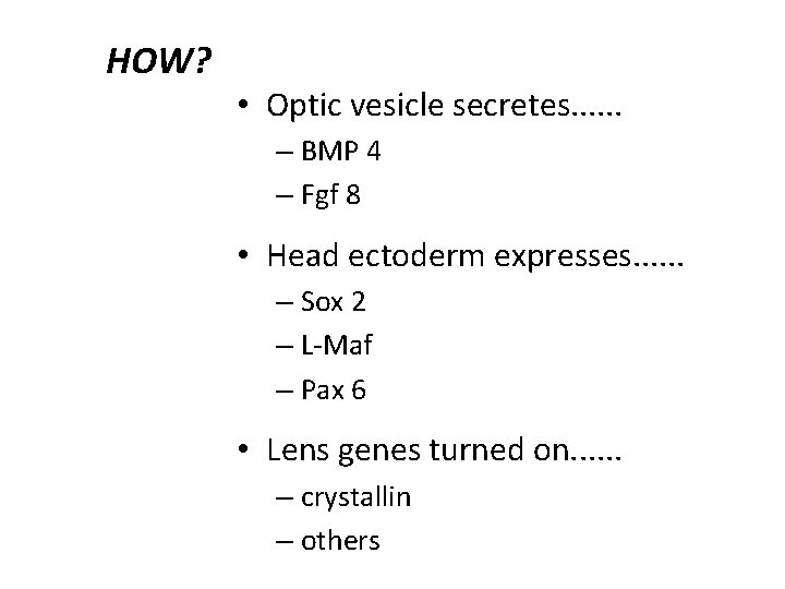 HOW? • Optic vesicle secretes. . . – BMP 4 – Fgf 8 •