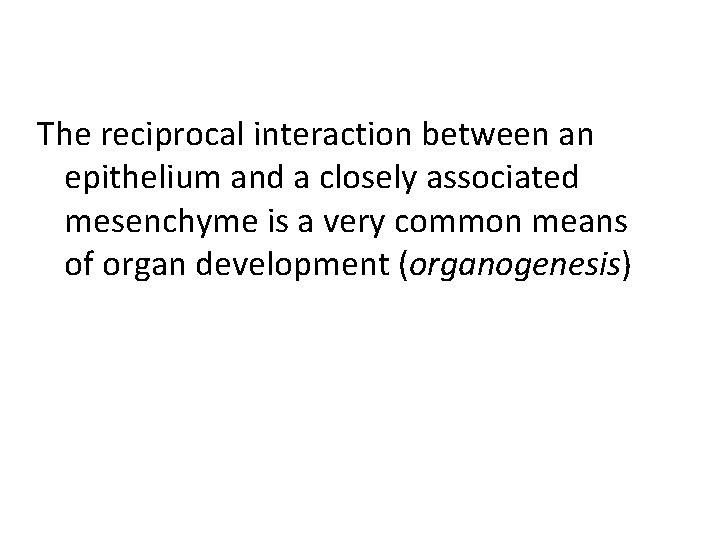 The reciprocal interaction between an epithelium and a closely associated mesenchyme is a very