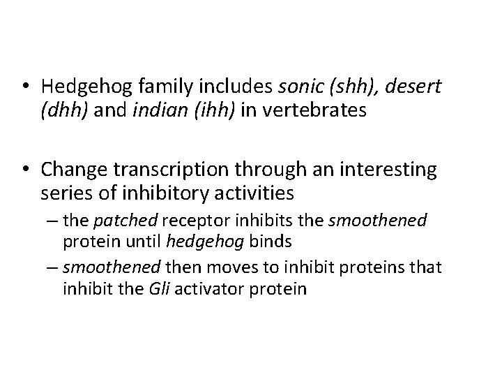  • Hedgehog family includes sonic (shh), desert (dhh) and indian (ihh) in vertebrates