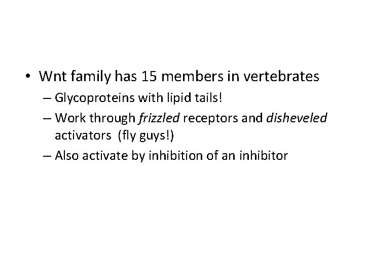  • Wnt family has 15 members in vertebrates – Glycoproteins with lipid tails!