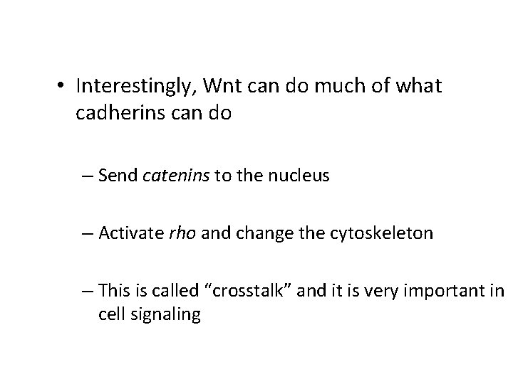  • Interestingly, Wnt can do much of what cadherins can do – Send