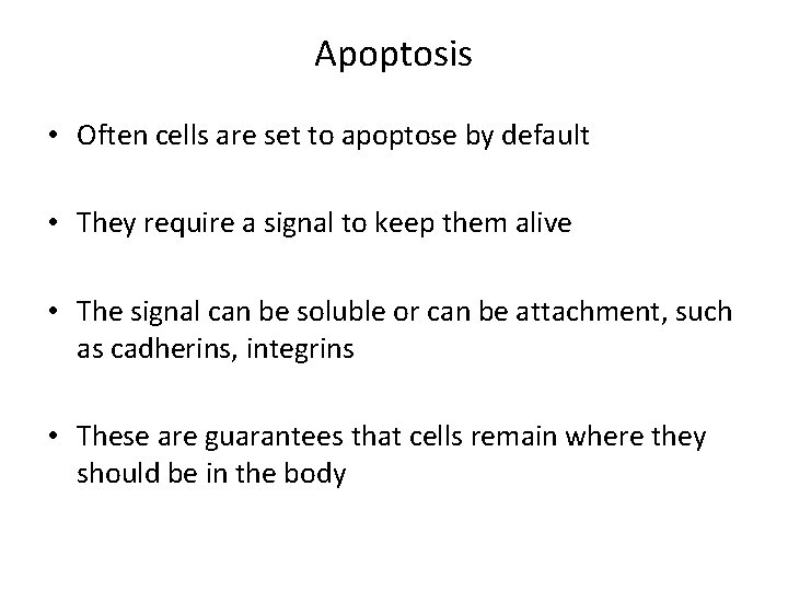 Apoptosis • Often cells are set to apoptose by default • They require a