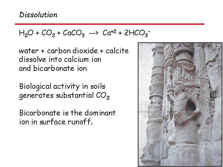 Dissolution H 2 O + CO 2 + Ca. CO 3 --> Ca+2 +