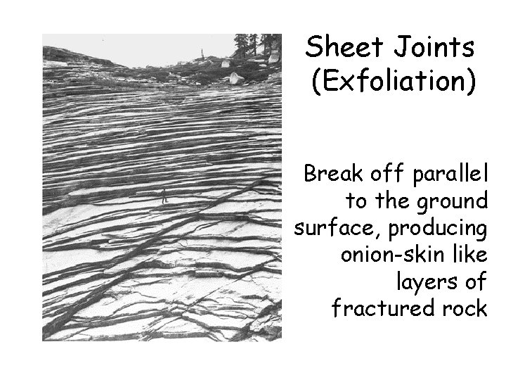 Sheet Joints (Exfoliation) Break off parallel to the ground surface, producing onion-skin like layers