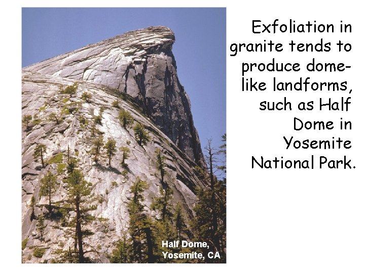 Exfoliation in granite tends to produce domelike landforms, such as Half Dome in Yosemite