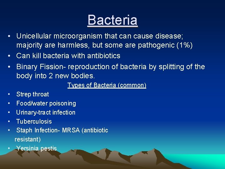 Bacteria • Unicellular microorganism that can cause disease; majority are harmless, but some are