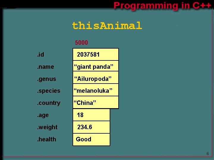 this. Animal 5000. id 2037581 . name “giant panda” . genus “Ailuropoda” . species this. Animal 5000. id 2037581 . name “giant panda” . genus “Ailuropoda” . species