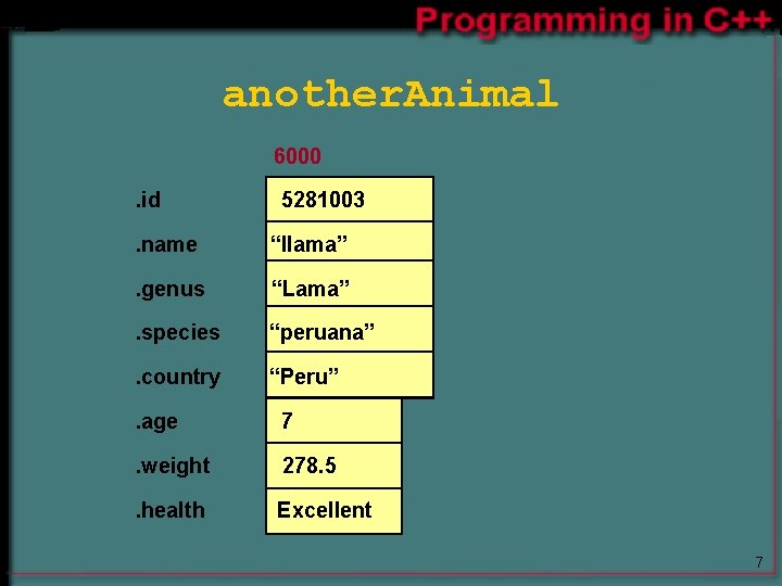 another. Animal 6000. id 5281003 . name “llama” . genus “Lama” . species “peruana” another. Animal 6000. id 5281003 . name “llama” . genus “Lama” . species “peruana”