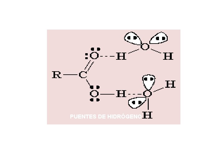 PUENTES DE HIDRÓGENO 