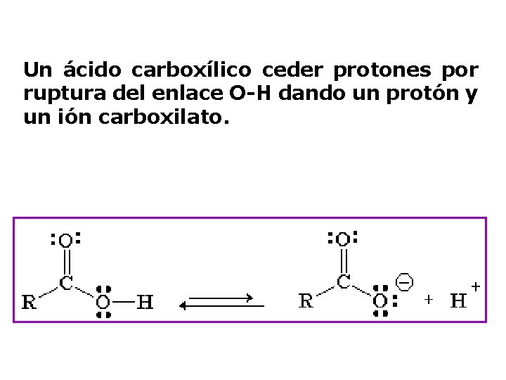 Un ácido carboxílico ceder protones por ruptura del enlace O-H dando un protón y
