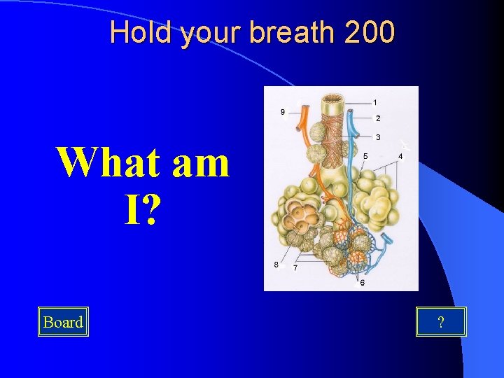 Hold your breath 200 What am I? Board ? 