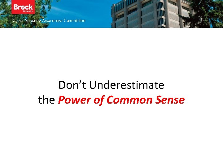 Cyber Security Awareness Committee Don’t Underestimate the Power of Common Sense 