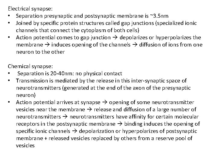 Electrical synapse: • Separation presynaptic and postsynaptic membrane is ~3. 5 nm • Joined