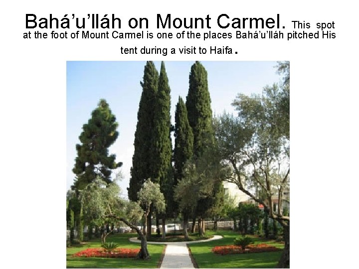 Bahá’u’lláh on Mount Carmel. This spot at the foot of Mount Carmel is one