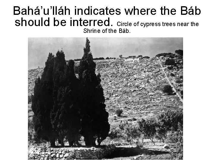 Bahá’u’lláh indicates where the Báb should be interred. Circle of cypress trees near the