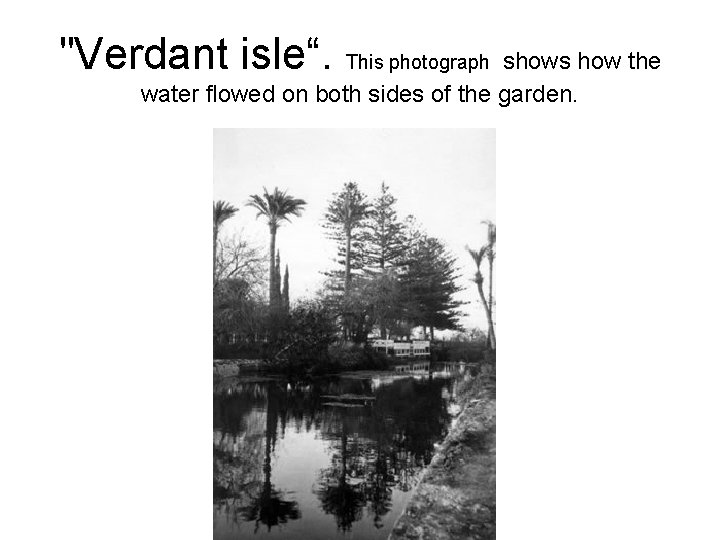 "Verdant isle“. This photograph shows how the water flowed on both sides of the