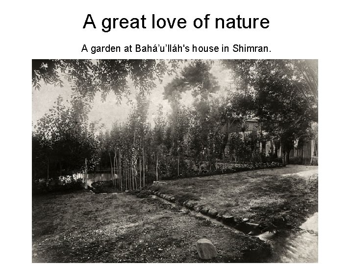 A great love of nature A garden at Bahá’u’lláh's house in Shimran. 