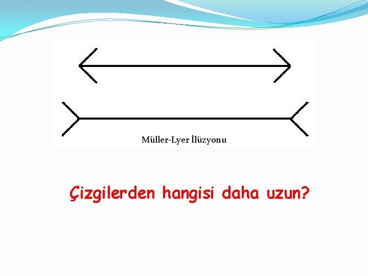 Müller-Lyer İlüzyonu Çizgilerden hangisi daha uzun? 