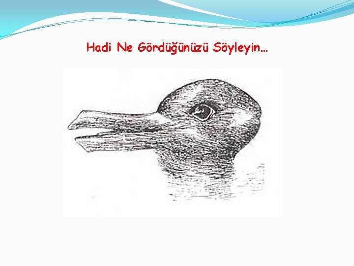 Hadi Ne Gördüğünüzü Söyleyin… 