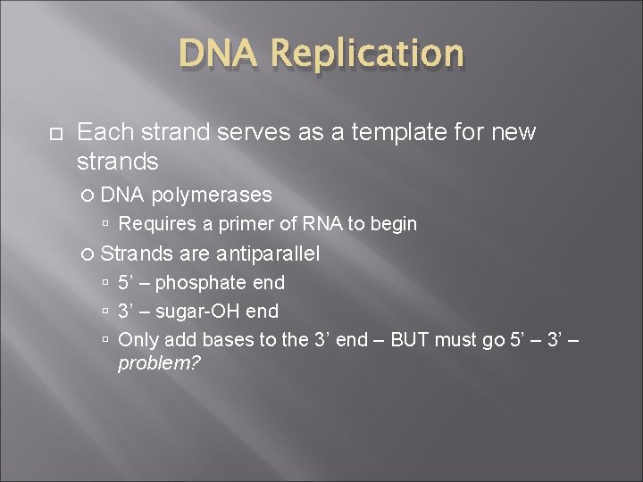 DNA Replication Each strand serves as a template for new strands DNA polymerases Requires