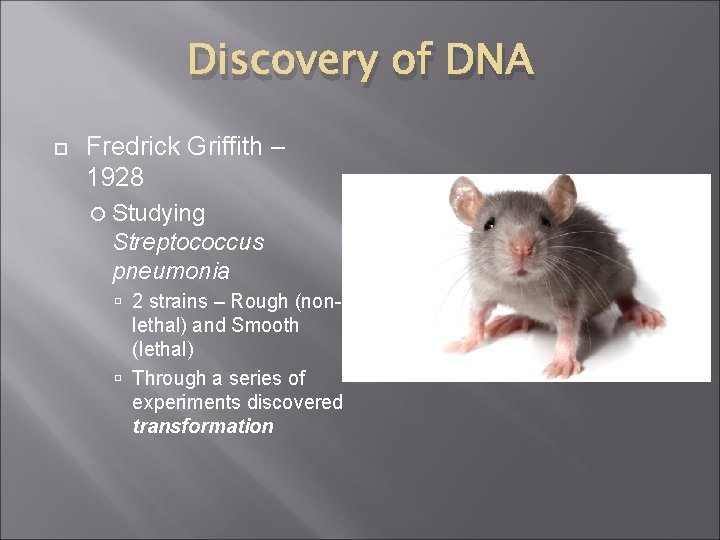 Discovery of DNA Fredrick Griffith – 1928 Studying Streptococcus pneumonia 2 strains – Rough