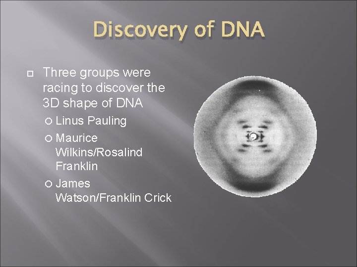 Discovery of DNA Three groups were racing to discover the 3 D shape of
