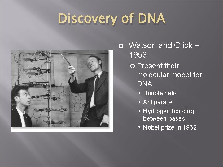 Discovery of DNA Watson and Crick – 1953 Present their molecular model for DNA