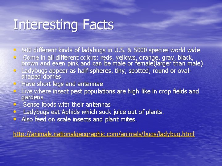 Interesting Facts • 500 different kinds of ladybugs in U. S. & 5000 species
