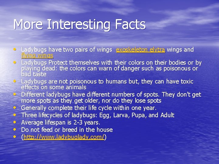 More Interesting Facts • Ladybugs have two pairs of wings exoskeleton elytra wings and