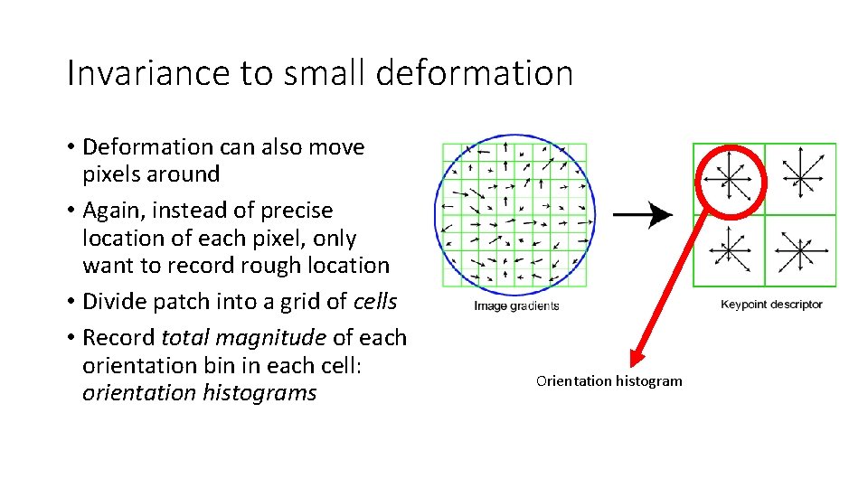 Invariance to small deformation • Deformation can also move pixels around • Again, instead