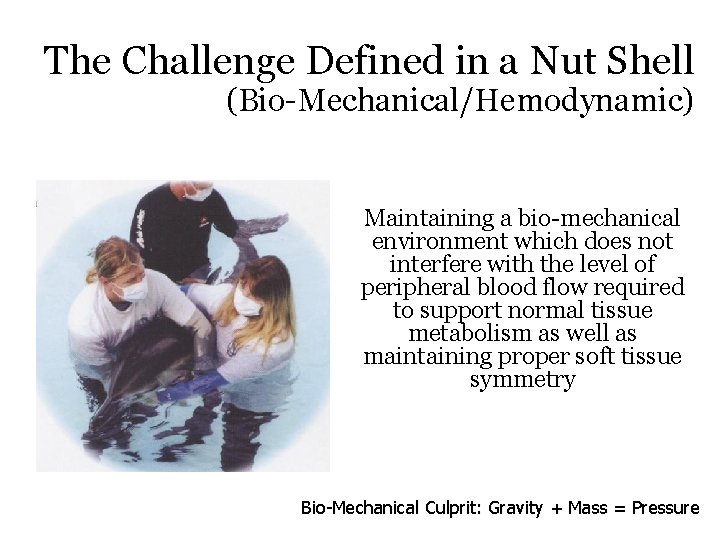 The Challenge Defined in a Nut Shell (Bio-Mechanical/Hemodynamic) Maintaining a bio-mechanical environment which does