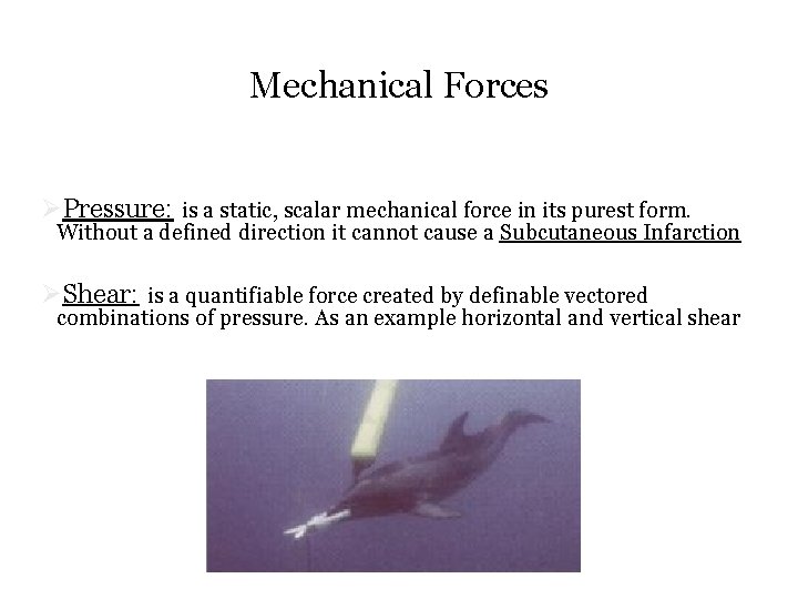 Mechanical Forces ØPressure: is a static, scalar mechanical force in its purest form. Without