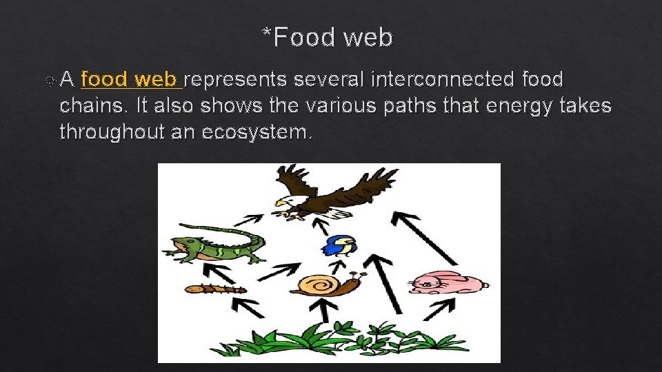 *Food web A food web represents several interconnected food chains. It also shows the