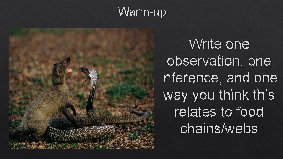 Warm-up Write one observation, one inference, and one way you think this relates to