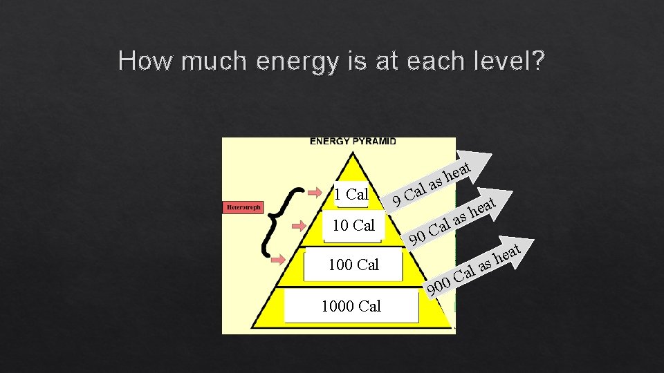 How much energy is at each level? 1 Cal 10 Cal t a e