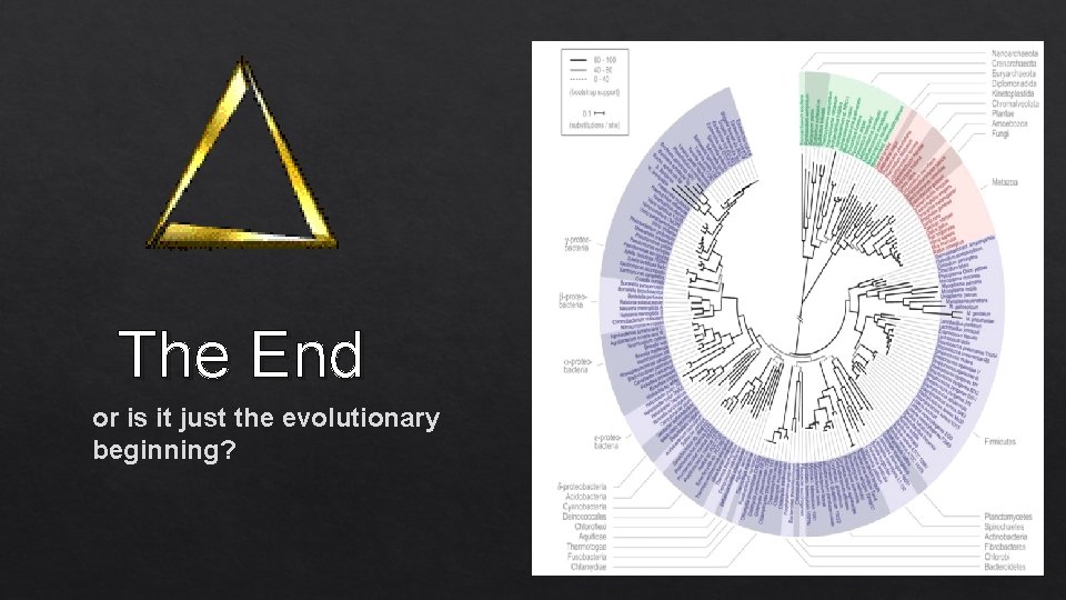 The End or is it just the evolutionary beginning? 