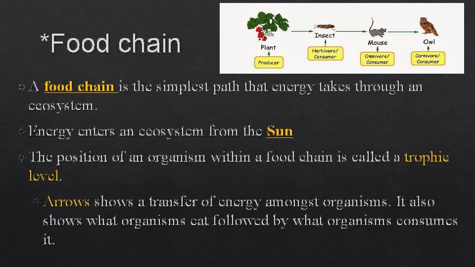 *Food chain A food chain is the simplest path that energy takes through an